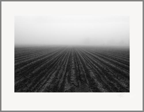 Plowed Field and Fog