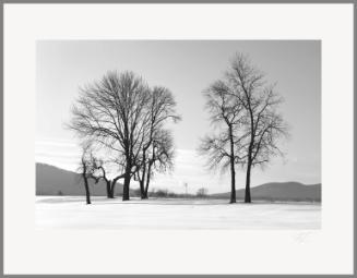 Winter Trees and Smokestack