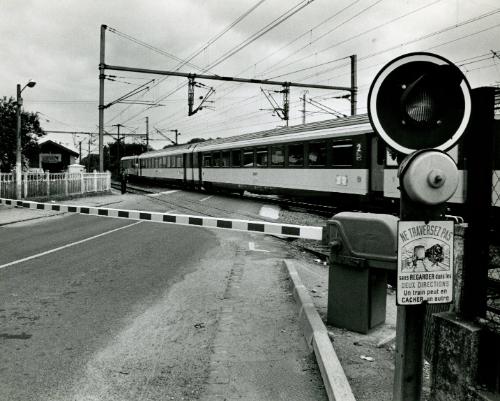 Champagne Country, Train Crossing, France