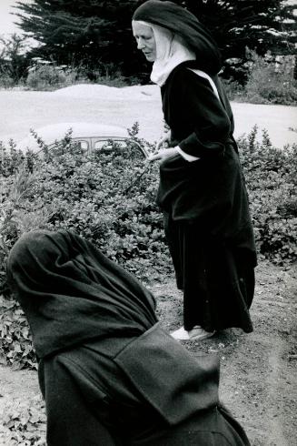 Discalced Carmelite nuns work silently in their garden, California