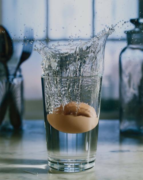 Egg Splash from A Drop of Water: A Book of Science and Wonder