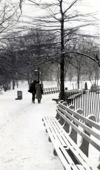 Central Park in Winter, New York City