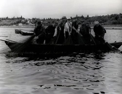 Nova Scotia, Fishermen Hauling in Nets