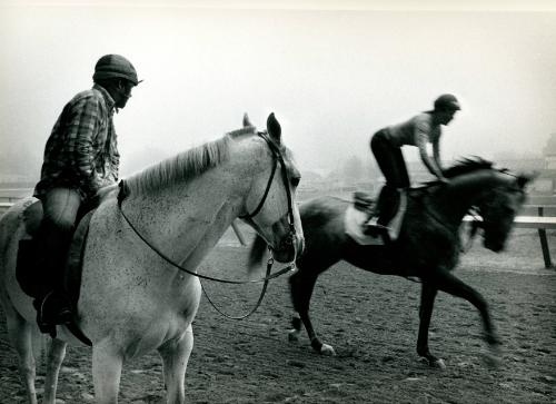 Workout, Santa Anita Park, Arcadia, California