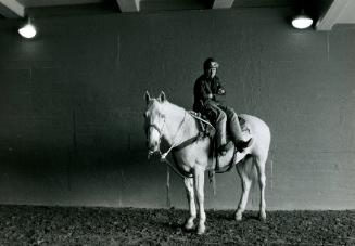 Pony Boy, Santa Anita Park