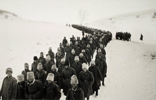 Romanian POWs from the Battle of Stalingrad