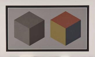 Double Cubes in Grays and Colors Superimposed