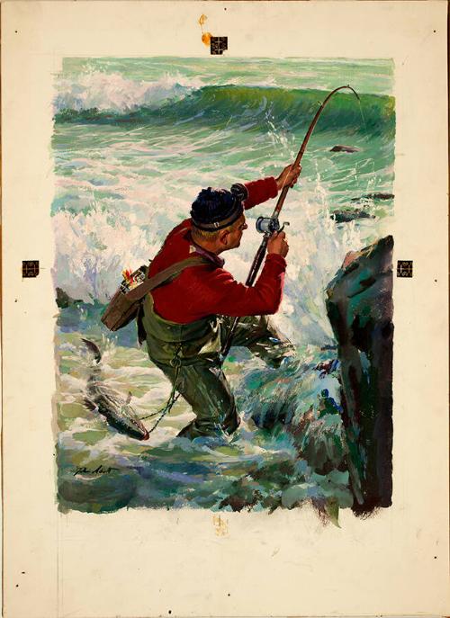 Striped Bass, Cover for Sports of Field