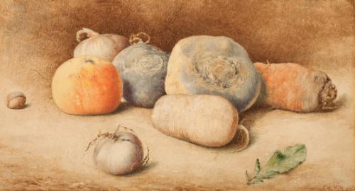 Hill,JohnWilliam,StillLife,1977.21