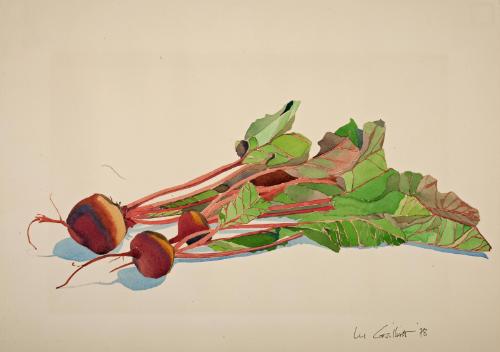 Guilliat,Lee,Beets,2009.66