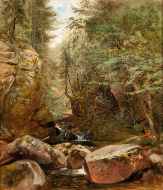 Shattuck,Aaron Draper,Stream in Rocky Gorge,1970.16